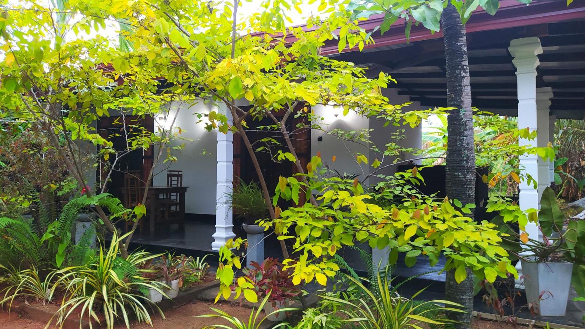 Yashi'S Place Sigiriya Luaran gambar