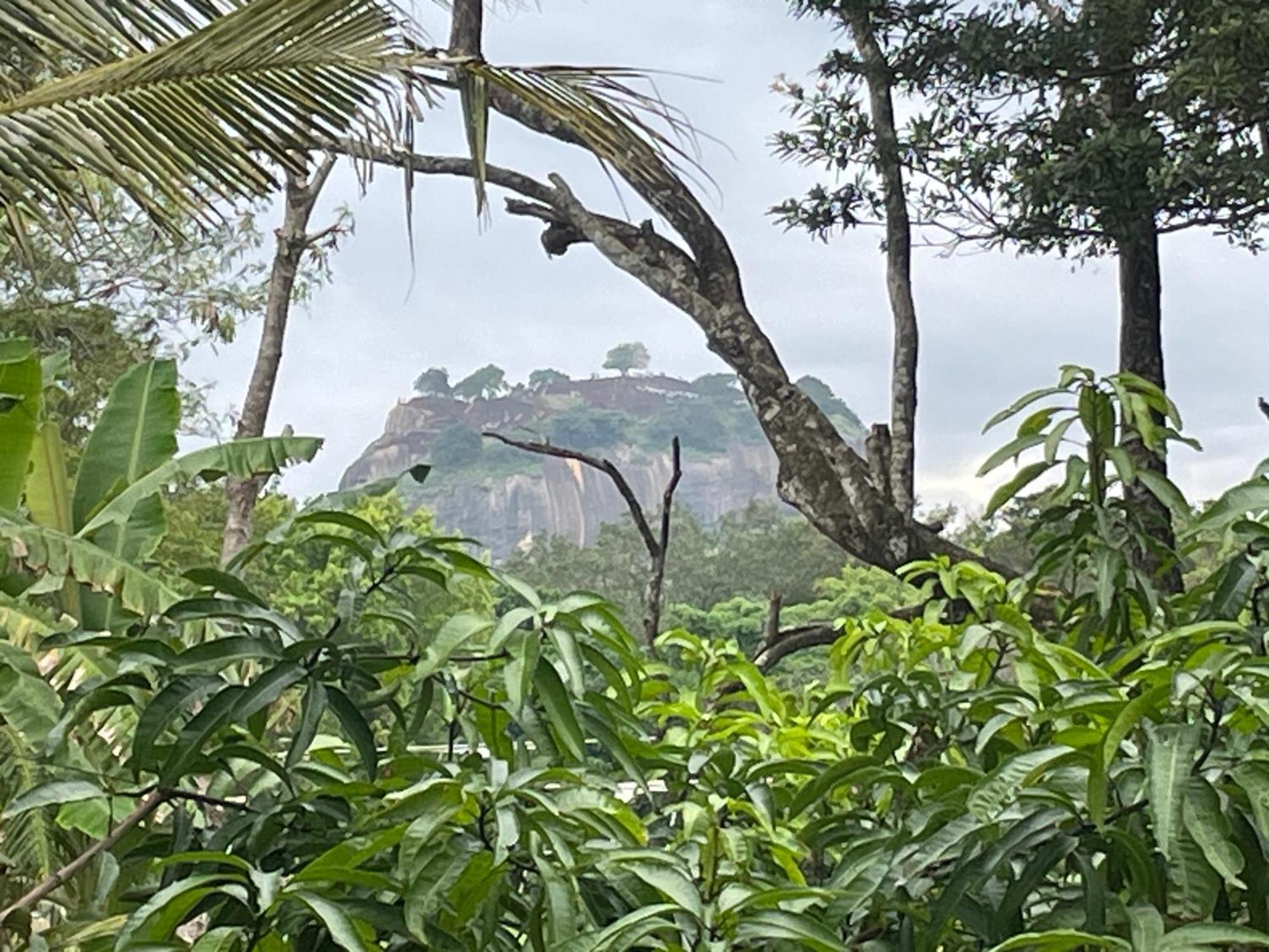 Yashi'S Place Sigiriya Luaran gambar